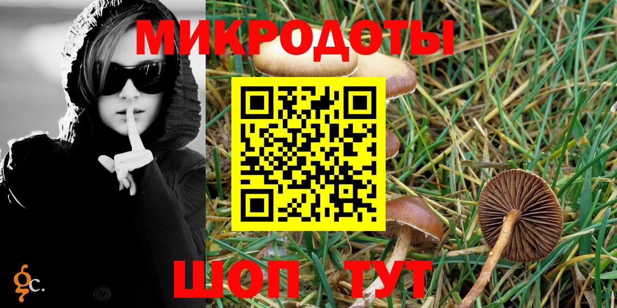 Псилоцибиновые грибы Cubensis  Вход с VPN  Королёв 