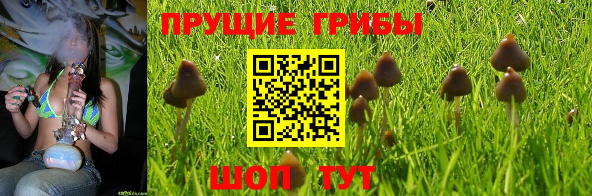 Псилоцибиновые грибы ЛСД Королёв