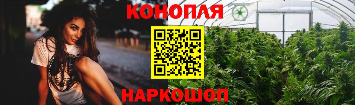 Бошки Шишки сатива  МАРИХУАНА VHQ  Королёв  Каннабис планчик  Вход с VPN  Бошки марихуана семена 